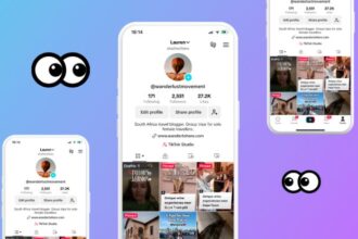How to View TikTok Profiles Anonymously With TTViewer, TokViewer & Petdii