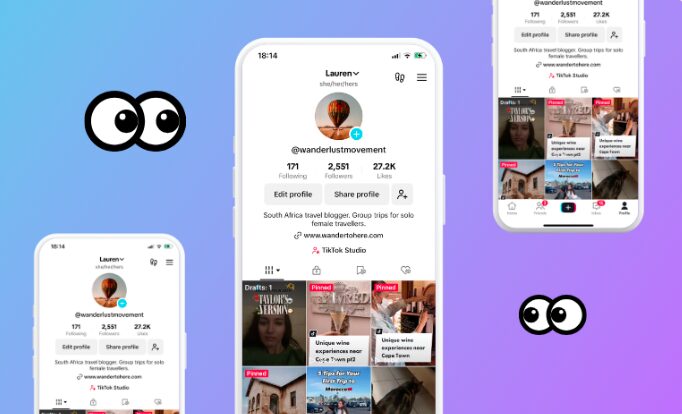 How to View TikTok Profiles Anonymously With TTViewer, TokViewer & Petdii